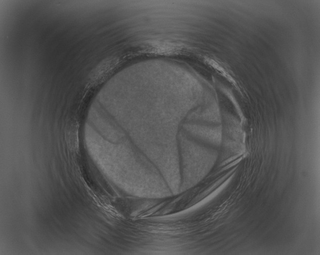 X0000082930685200702222220