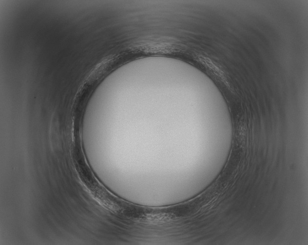 X0000082930686200702222220