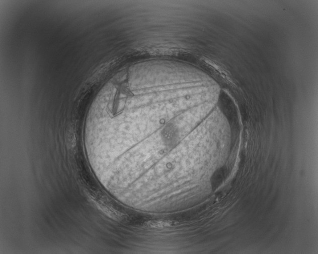 X0000082930687200702222220