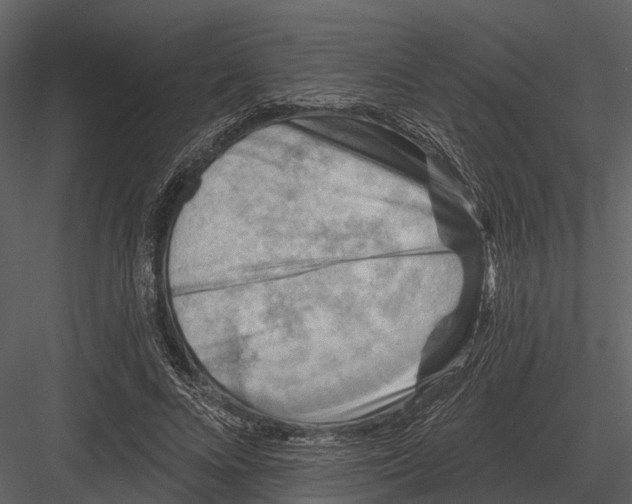 X0000082930688200702222220