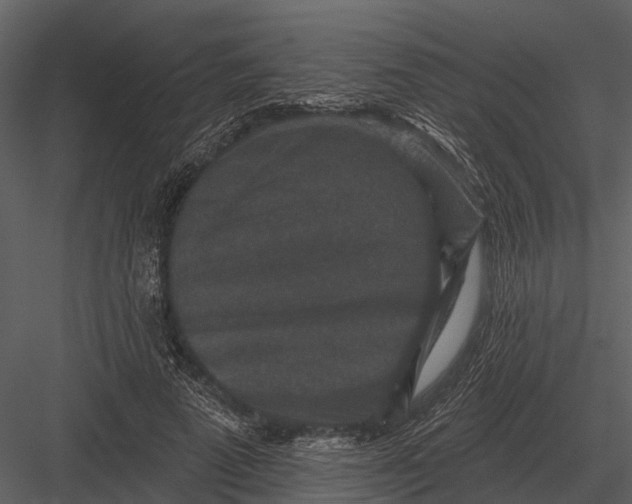 X0000082930689200702222220