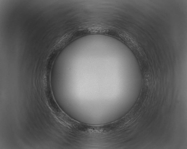 X0000082930690200702222220