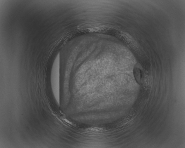 X0000082930691200702222220