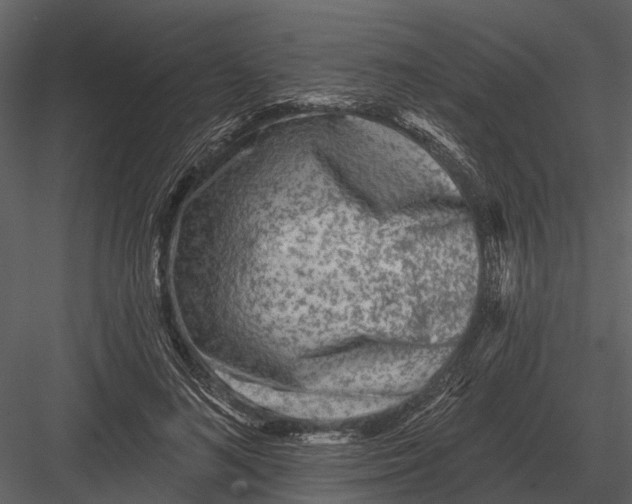 X0000082930692200702222220