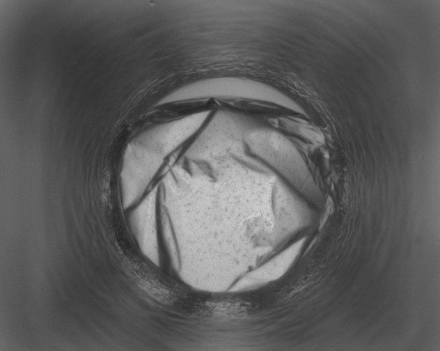 X0000082930693200702222220