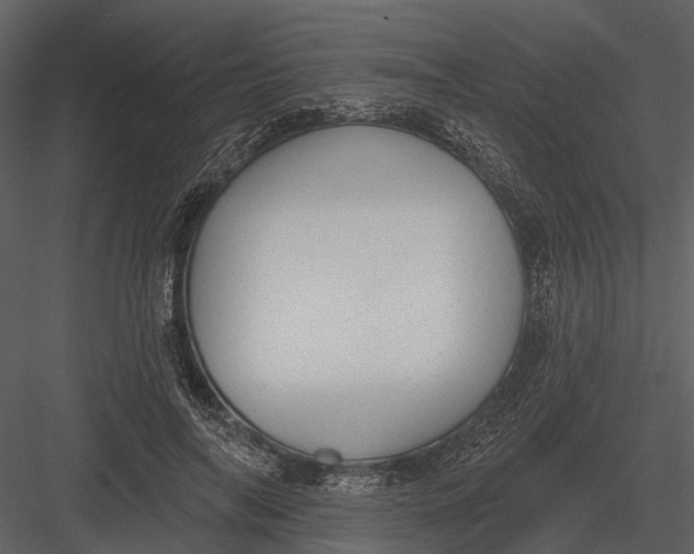 X0000082930694200702222220