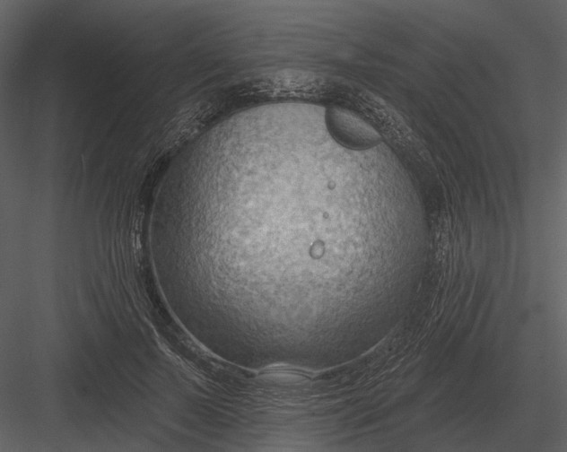 X0000082930695200702222220