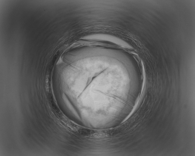 X0000082930696200702222220