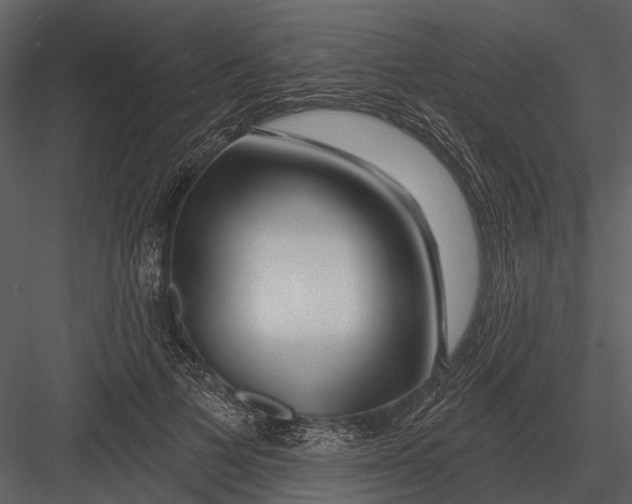 X0000082930697200702222220