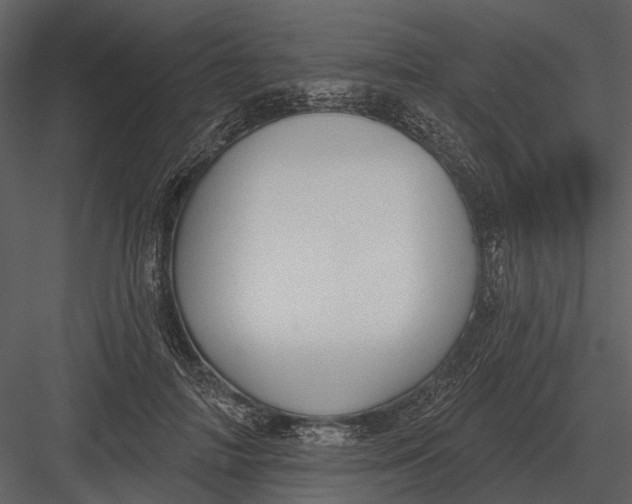 X0000082930698200702222220