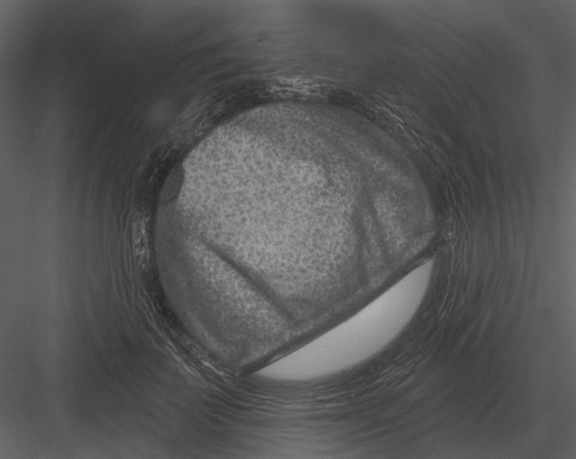 X0000082930699200702222220