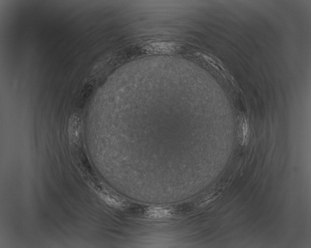 X0000082930701200702222220