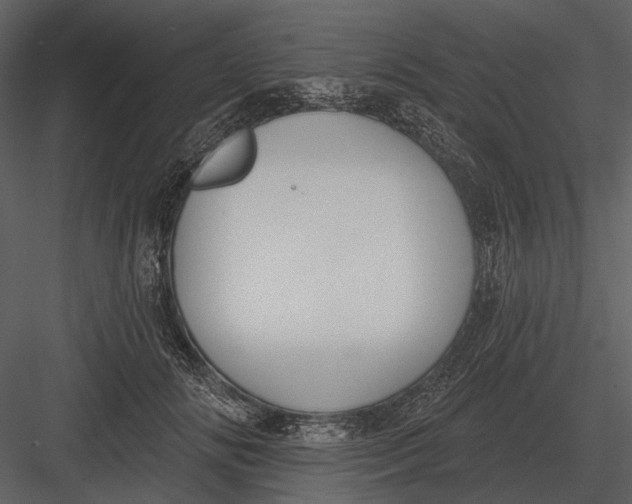 X0000082930702200702222220