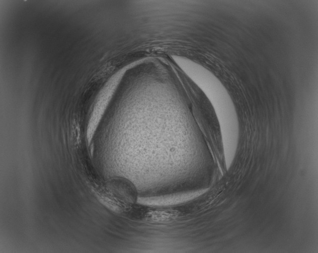 X0000082930703200702222220