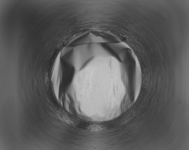 X0000082930704200702222220