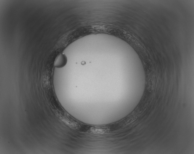 X0000082930706200702222220