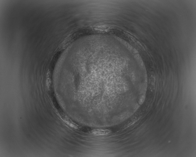 X0000082930707200702222220