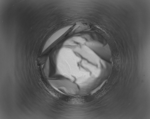 X0000082930708200702222219