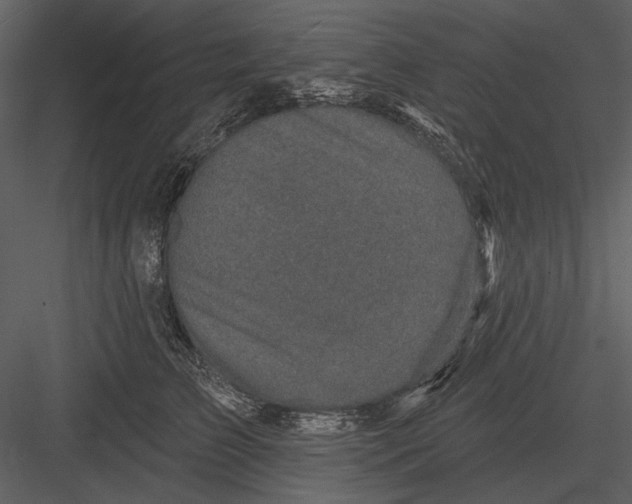 X0000082930709200702222219