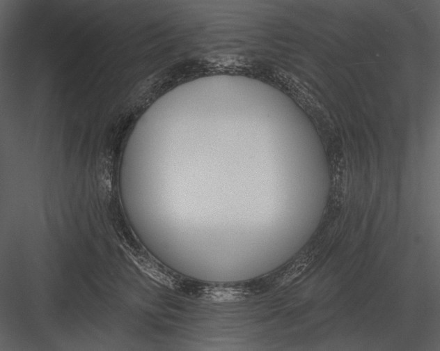 X0000082930710200702222219