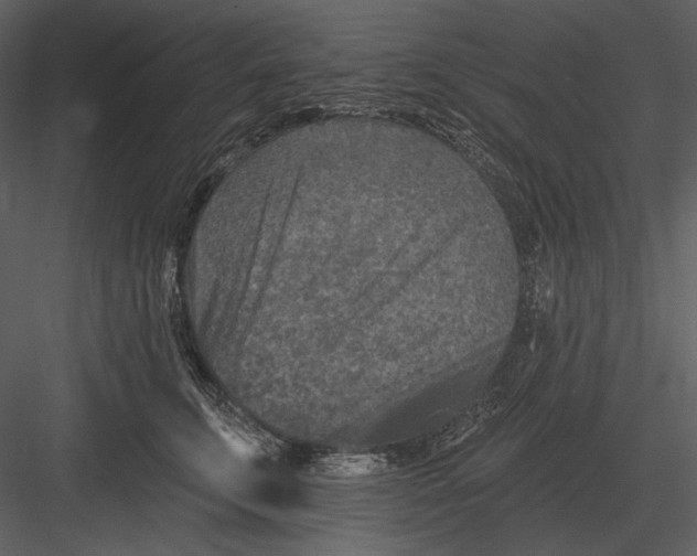 X0000082930711200702222219