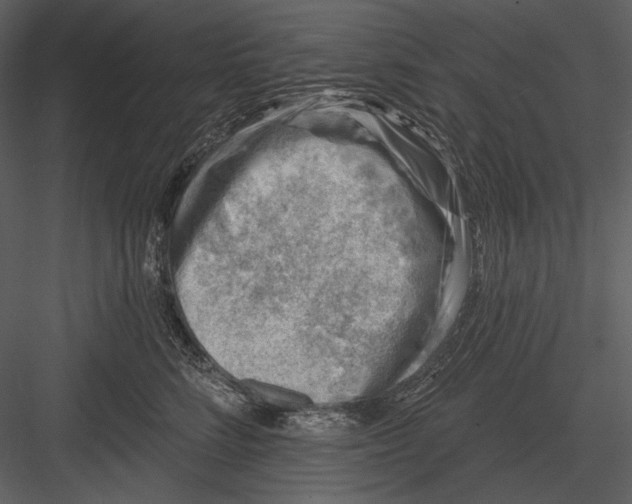 X0000082930712200702222219