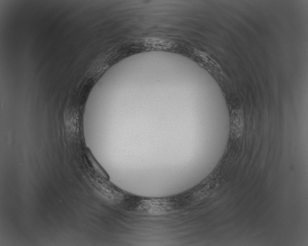 X0000082930713200702222219