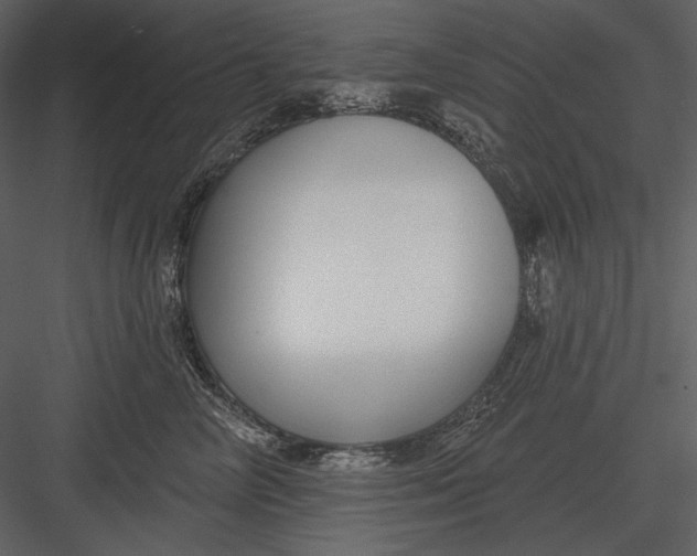 X0000082930714200702222219