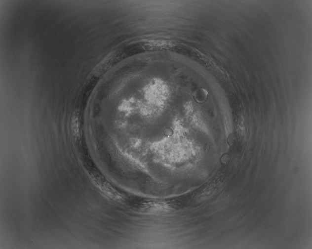 X0000082930715200702222219