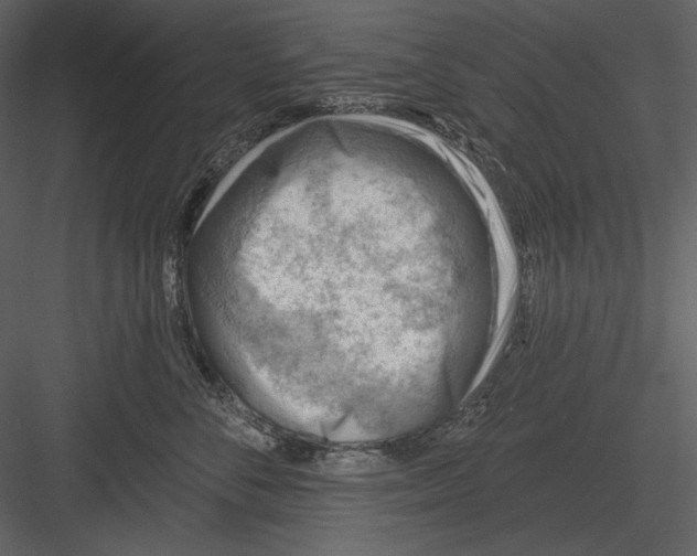 X0000082930716200702222219