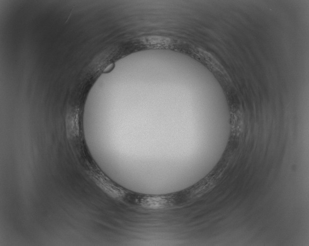 X0000082930717200702222219