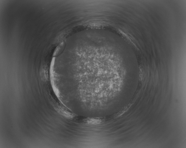 X0000082930718200702222219