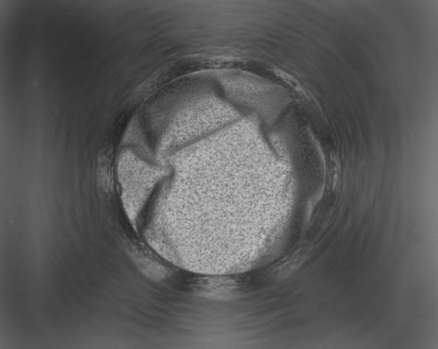 X0000082930719200702222219