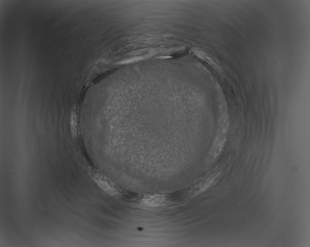 X0000082930720200702222219