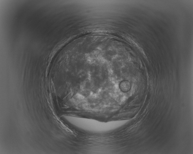 X0000082930721200702222218