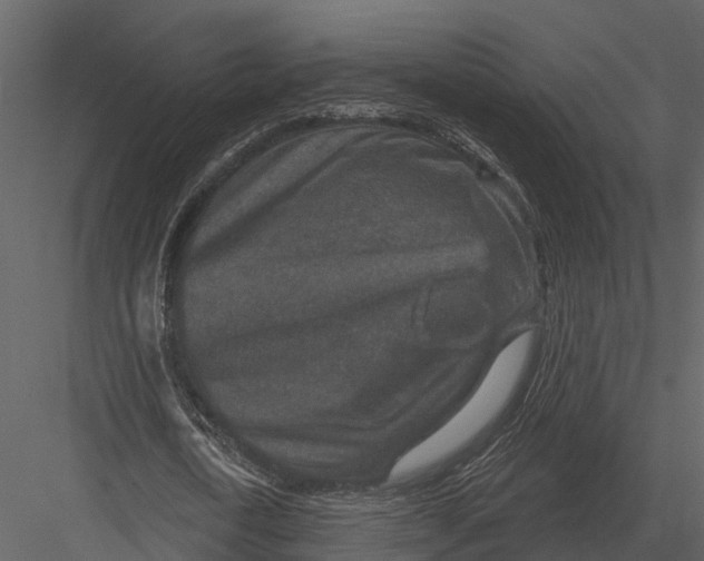 X0000082930722200702222218