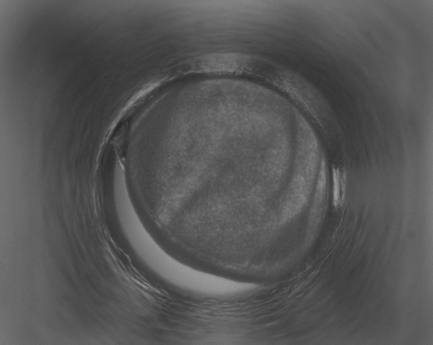 X0000082930723200702222218