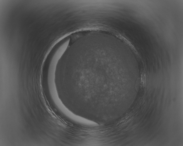 X0000082930724200702222219