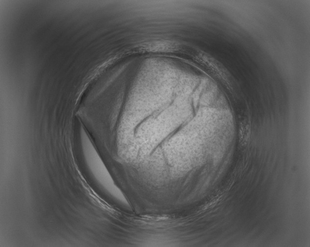 X0000082930725200702222219