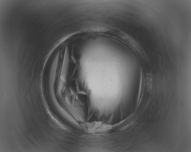 X0000082930726200702222219