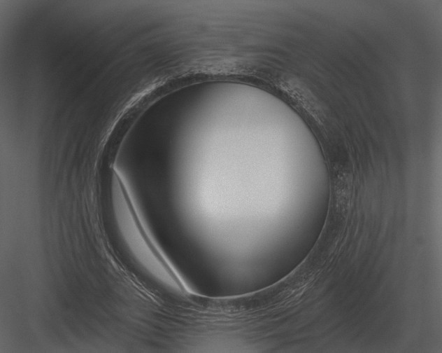 X0000082930727200702222219