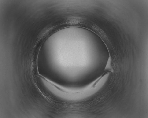 X0000082930728200702222219