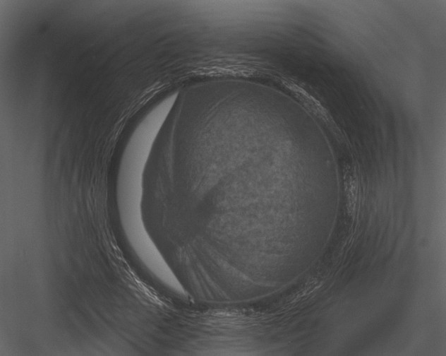 X0000082930729200702222219