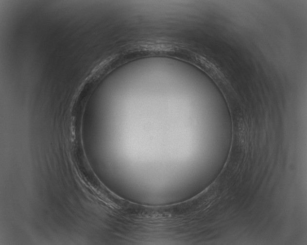 X0000082930731200702222219