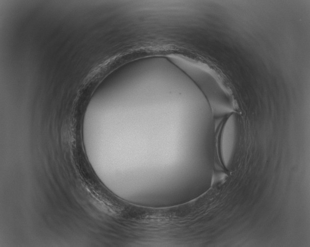 X0000082930732200702222219