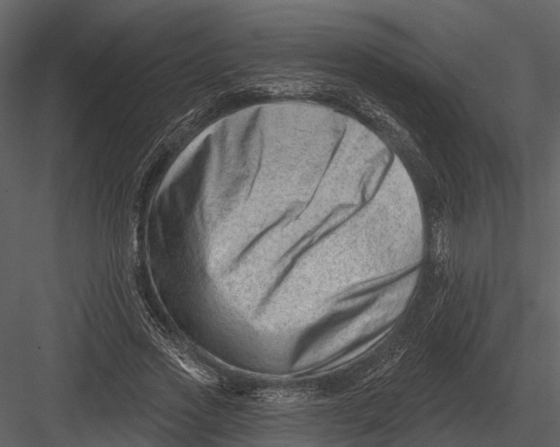 X0000082930733200702222219