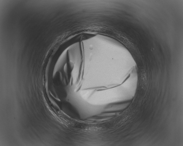 X0000082930734200702222219