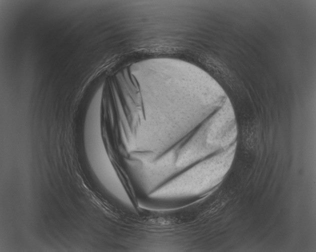 X0000082930735200702222219