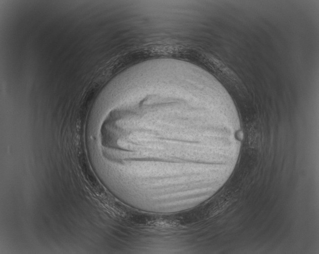 X0000082930737200702222219