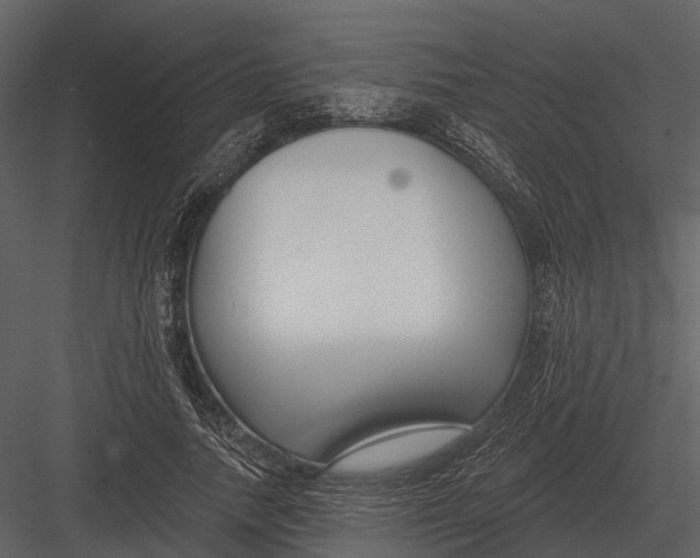 X0000082930738200702222219